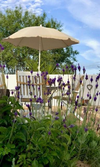 Bed and Breakfast Todos Y Tonya Archidona Exterior foto
