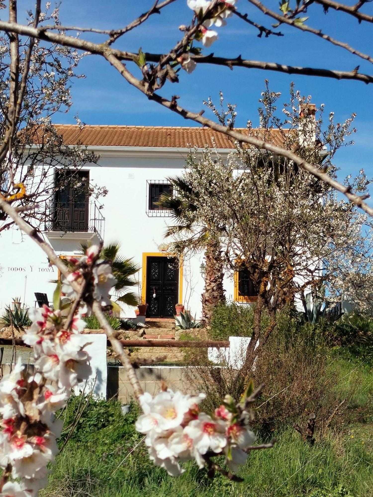 Bed and Breakfast Todos Y Tonya Archidona Exterior foto