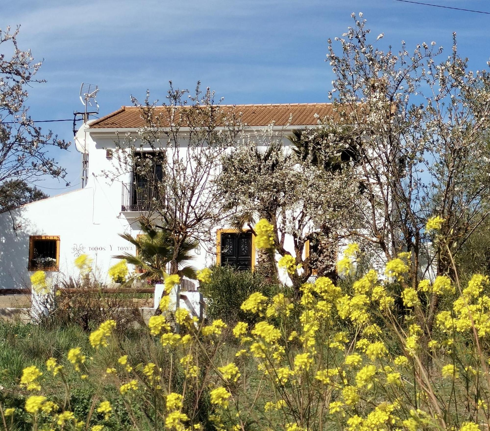Bed and Breakfast Todos Y Tonya Archidona Exterior foto