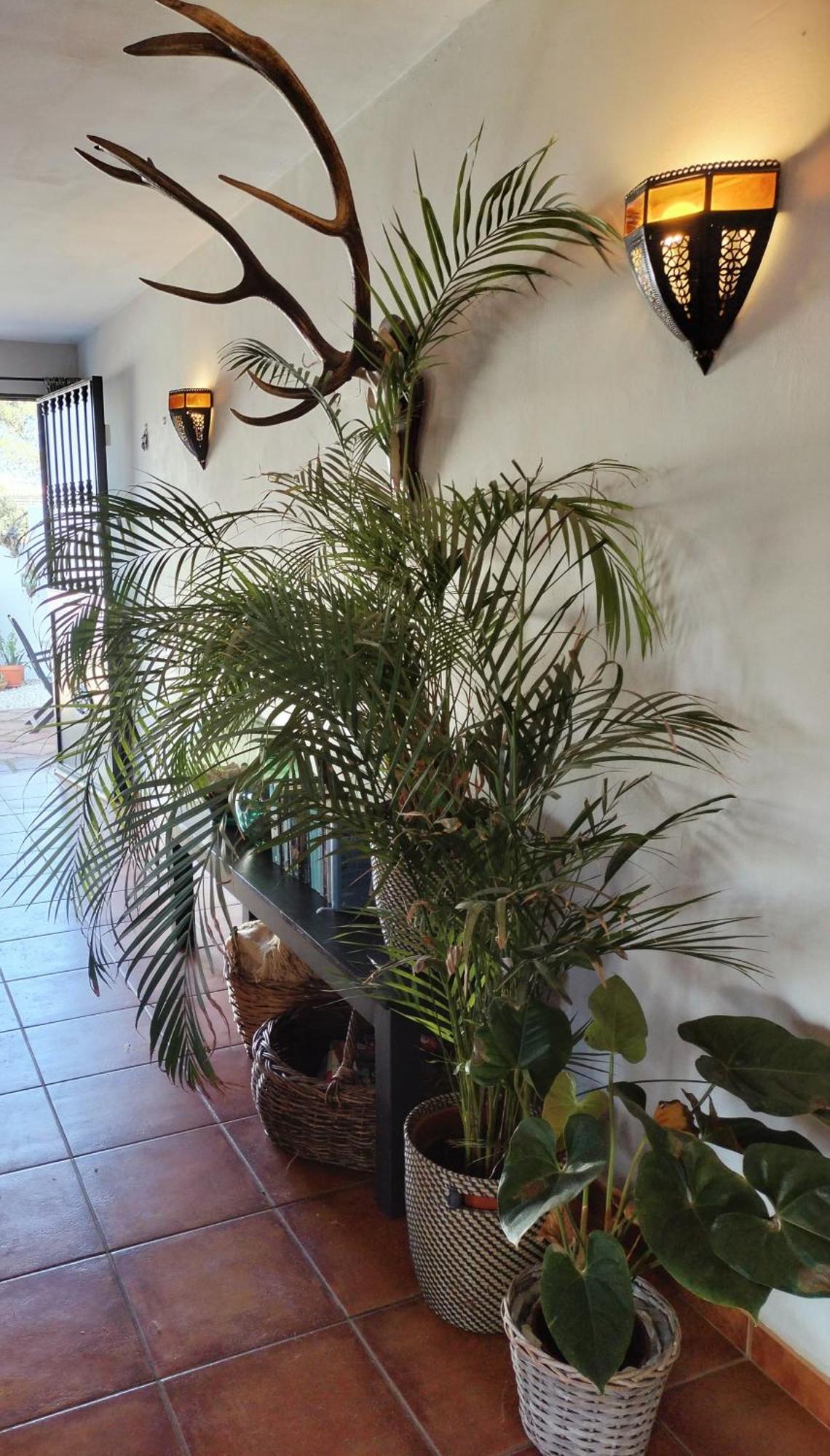 Bed and Breakfast Todos Y Tonya Archidona Exterior foto