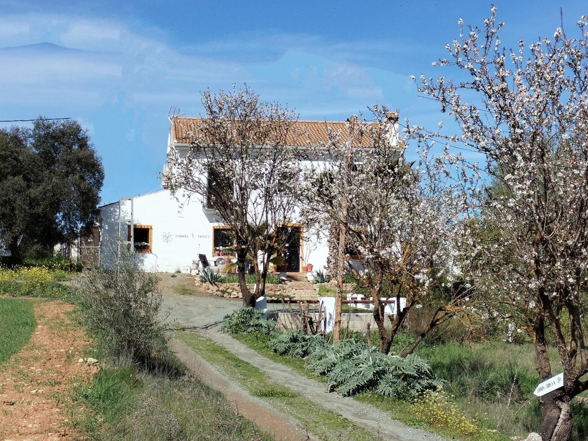 Bed and Breakfast Todos Y Tonya Archidona Exterior foto